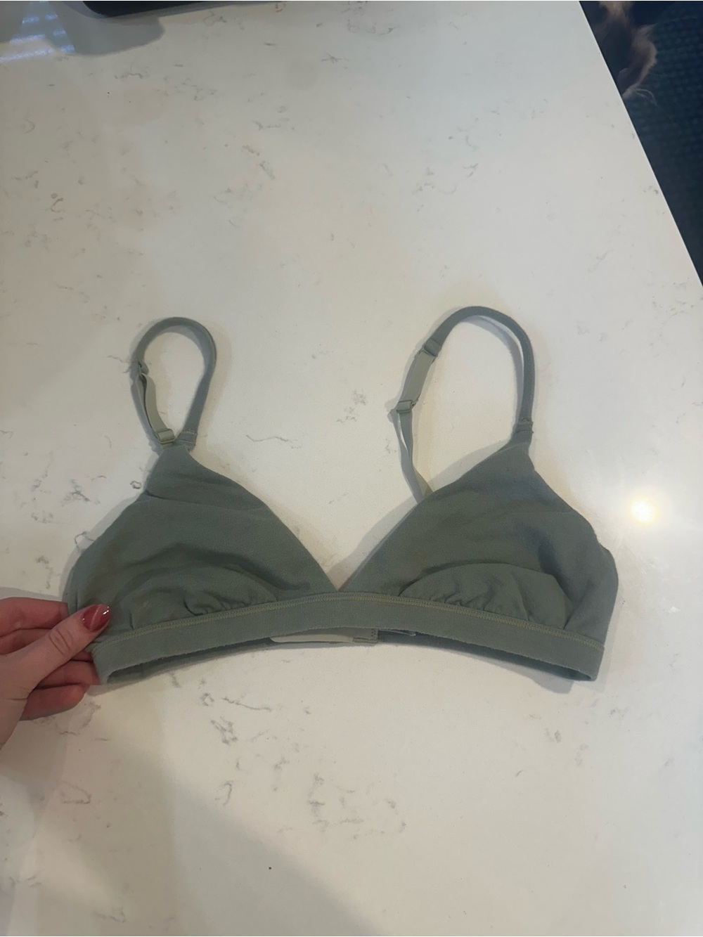 Skims bra